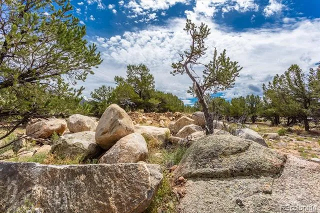 30224 US Highway 24 Buena Vista, CO 81211