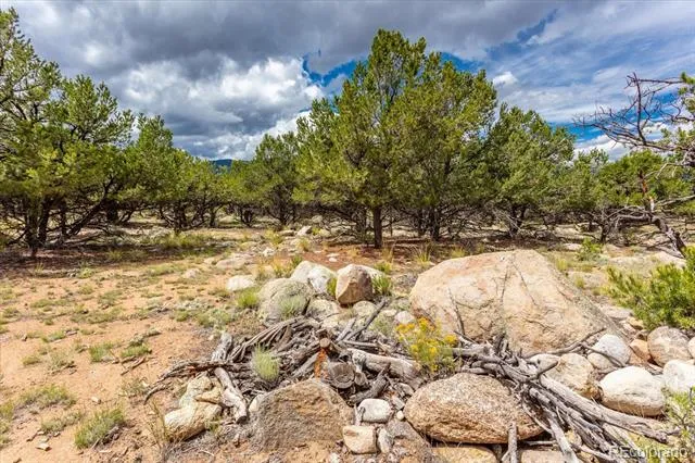 30224 US Highway 24 Buena Vista, CO 81211