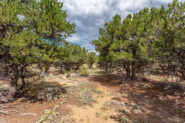 30224 US Highway 24 Buena Vista, CO 81211