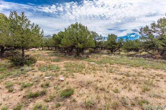 30224 US Highway 24 Buena Vista, CO 81211