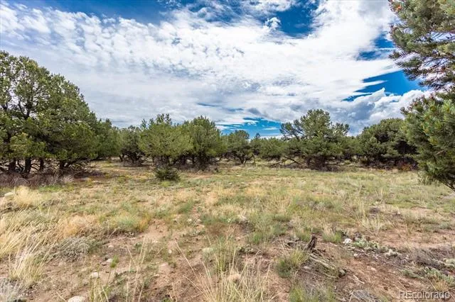 30224 US Highway 24 Buena Vista, CO 81211