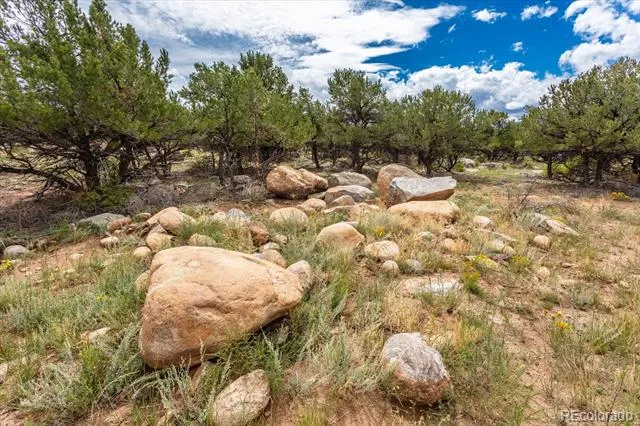 30224 US Highway 24 Buena Vista, CO 81211