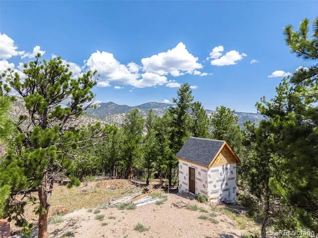 601 Old Glory Rd Idaho Springs, CO 80452