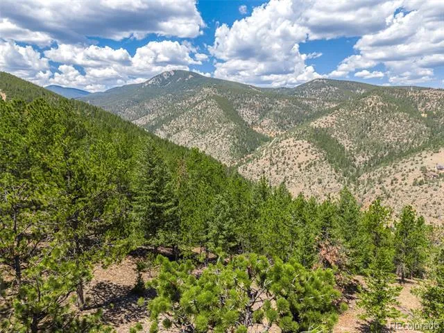 601 Old Glory Rd Idaho Springs, CO 80452