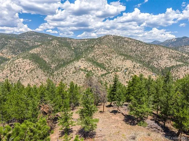601 Old Glory Rd Idaho Springs, CO 80452
