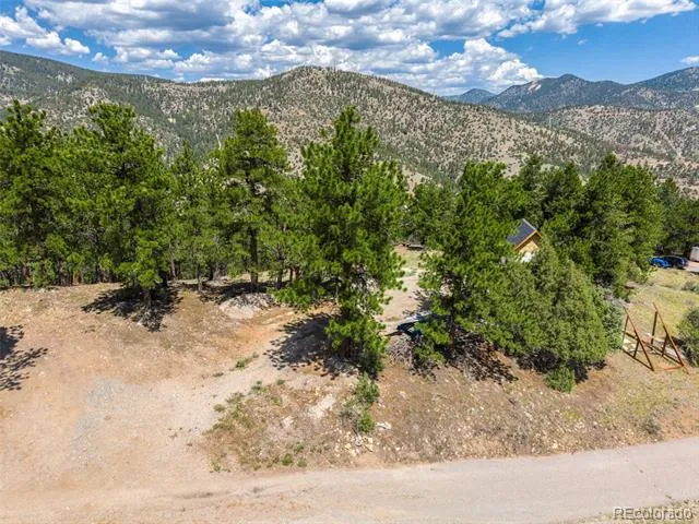 601 Old Glory Rd Idaho Springs, CO 80452