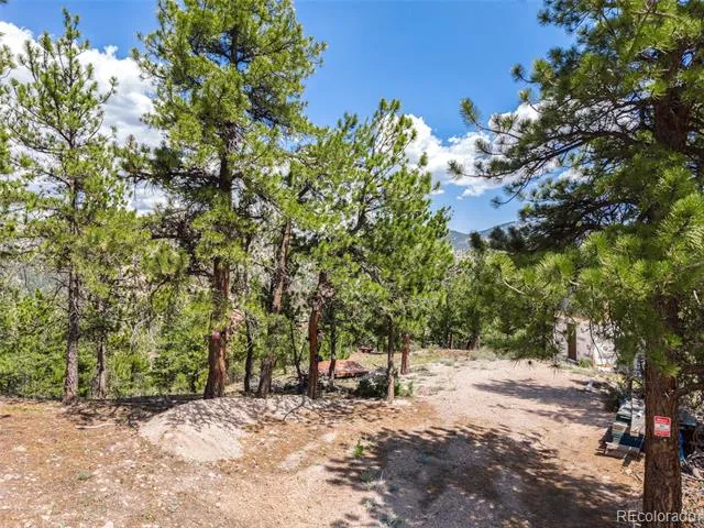 601 Old Glory Rd Idaho Springs, CO 80452