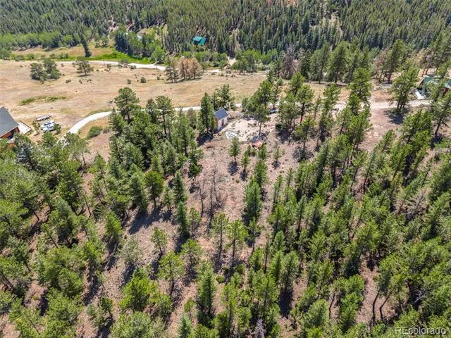 601 Old Glory Rd Idaho Springs, CO 80452