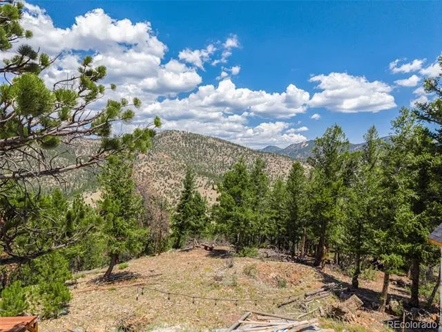 601 Old Glory Rd Idaho Springs, CO 80452