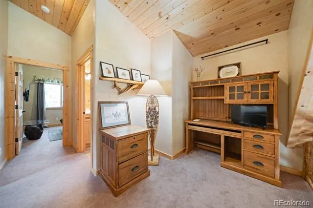 1380 Spruce Road Cimarron, CO 81220