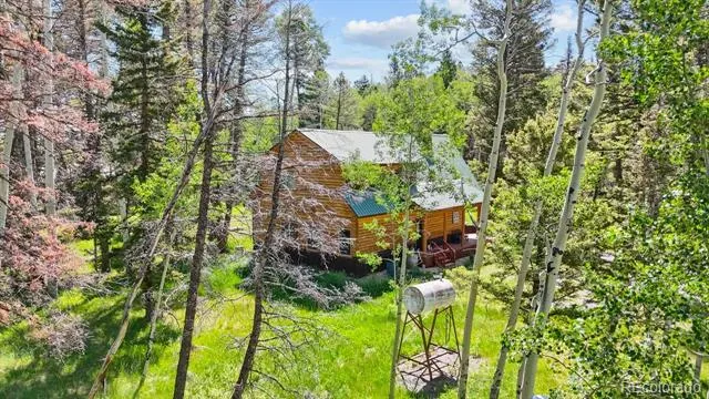 1380 Spruce Road Cimarron, CO 81220