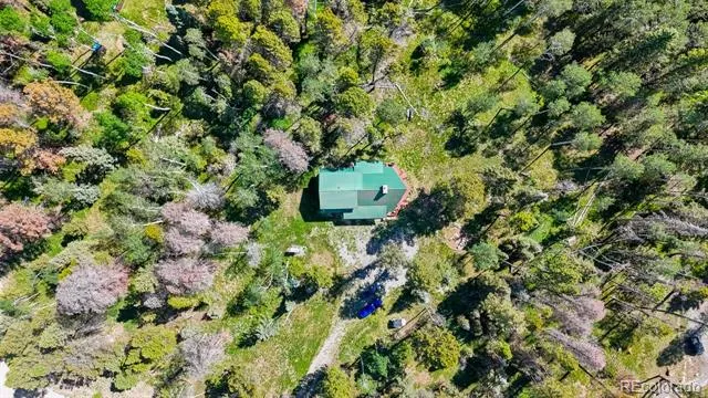 1380 Spruce Road Cimarron, CO 81220