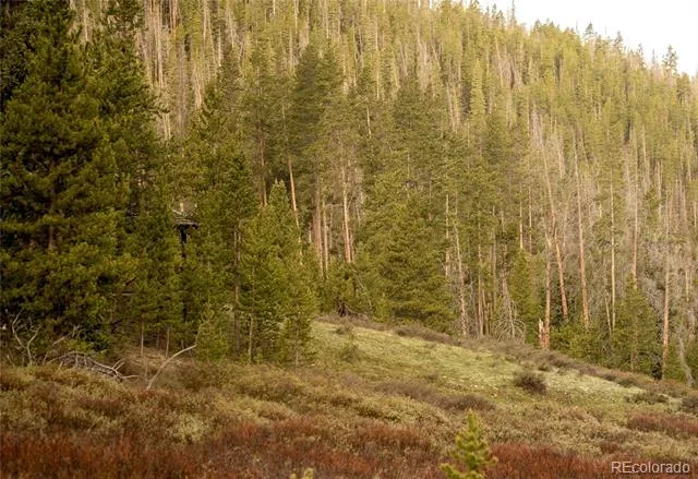 19384 County Road 4 Granby, CO 80446