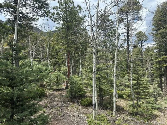 357 Big Horn Manitou Springs, CO 80829