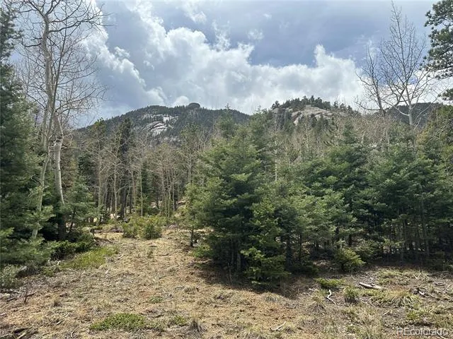 357 Big Horn Manitou Springs, CO 80829