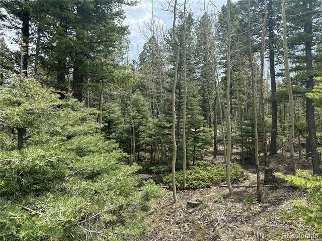 357 Big Horn Manitou Springs, CO 80829