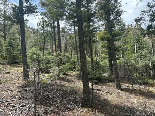 357 Big Horn Manitou Springs, CO 80829