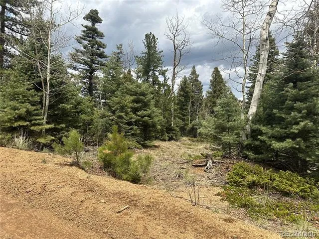 357 Big Horn Manitou Springs, CO 80829
