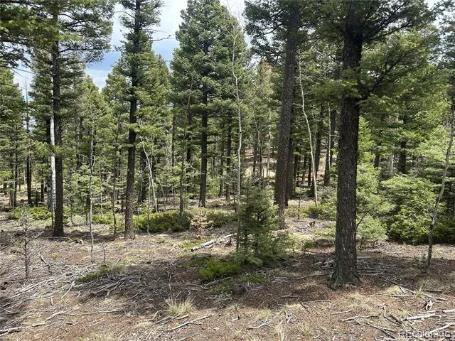 357 Big Horn Manitou Springs, CO 80829
