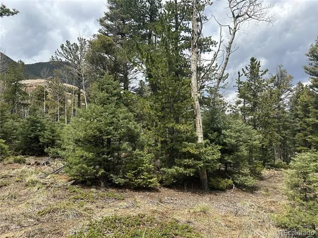 357 Big Horn Manitou Springs, CO 80829