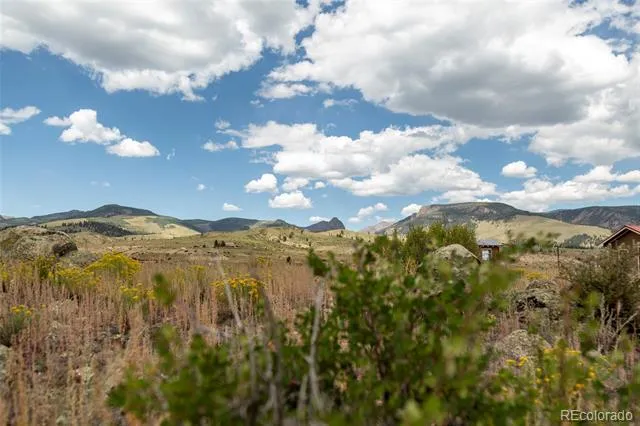 207 Sunset Court Creede, CO 81130