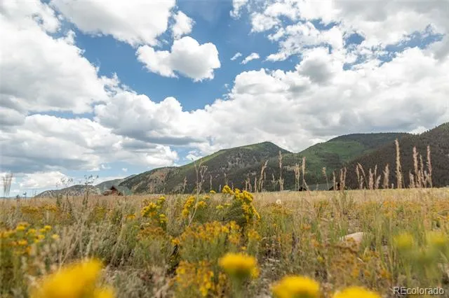 207 Sunset Court Creede, CO 81130