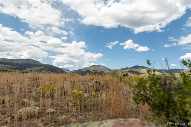 207 Sunset Court Creede, CO 81130