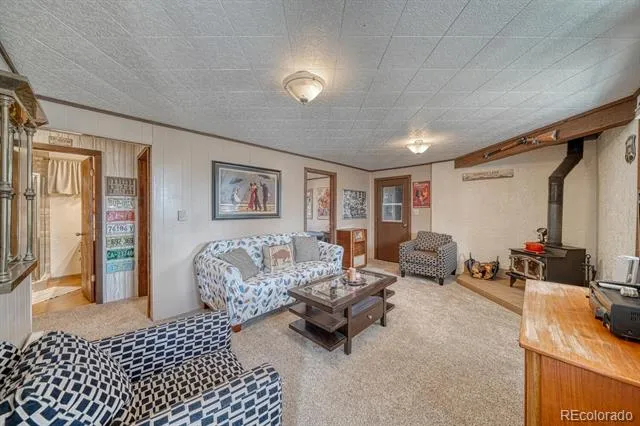37820 Twin Kopie Drive Buena Vista, CO 81211