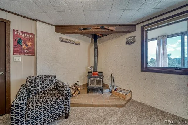 37820 Twin Kopie Drive Buena Vista, CO 81211
