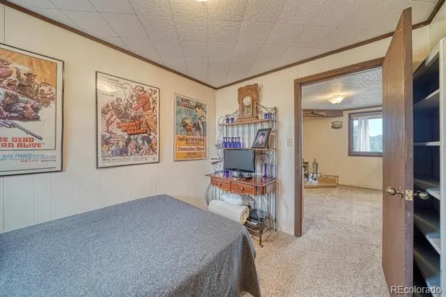 37820 Twin Kopie Drive Buena Vista, CO 81211