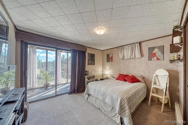 37820 Twin Kopie Drive Buena Vista, CO 81211