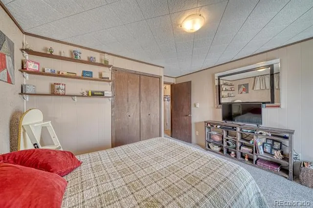37820 Twin Kopie Drive Buena Vista, CO 81211