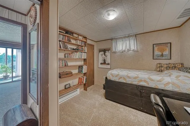 37820 Twin Kopie Drive Buena Vista, CO 81211