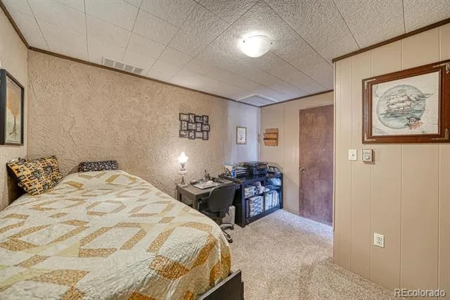 37820 Twin Kopie Drive Buena Vista, CO 81211