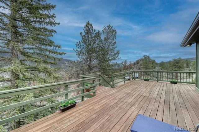 37820 Twin Kopie Drive Buena Vista, CO 81211