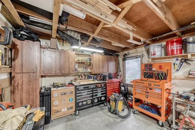 37820 Twin Kopie Drive Buena Vista, CO 81211
