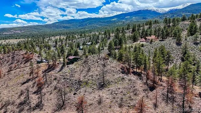 37820 Twin Kopie Drive Buena Vista, CO 81211