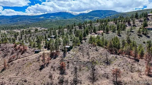 37820 Twin Kopie Drive Buena Vista, CO 81211