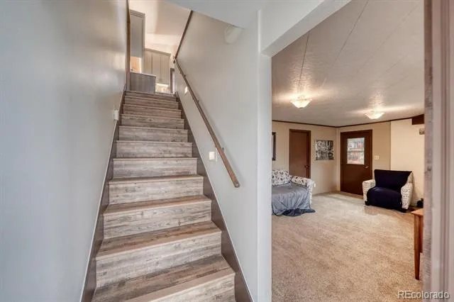 37820 Twin Kopie Drive Buena Vista, CO 81211