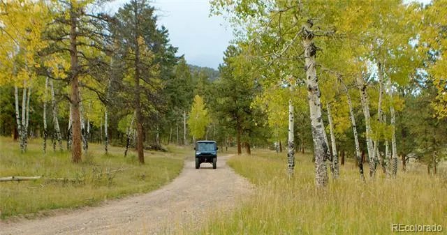12464 S US Hwy 285 Conifer, CO 80433