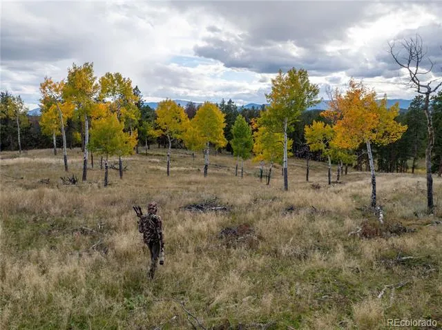 12464 S US Hwy 285 Conifer, CO 80433