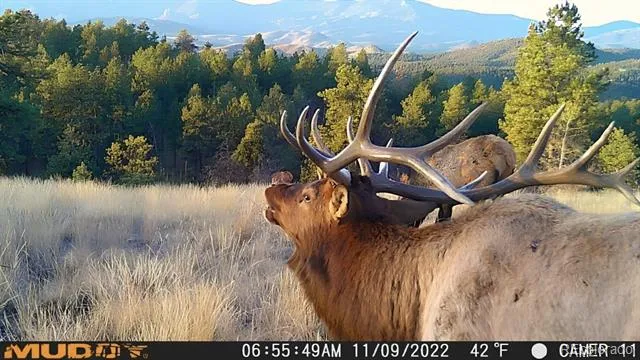 12464 S US Hwy 285 Conifer, CO 80433