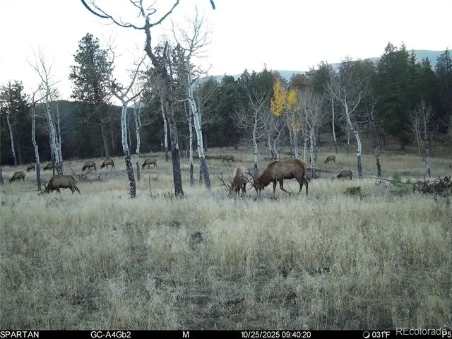 12464 S US Hwy 285 Conifer, CO 80433