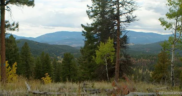 12464 S US Hwy 285 Conifer, CO 80433