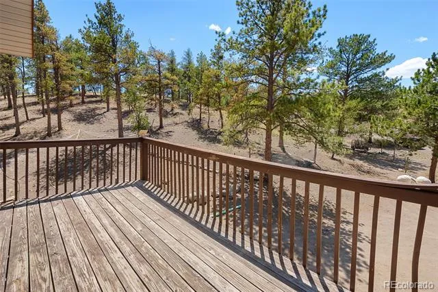 114 Ranier Lane Hartsel, CO 80449