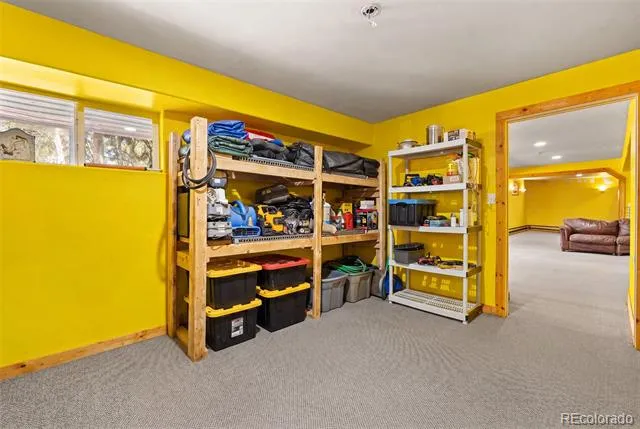 114 Ranier Lane Hartsel, CO 80449