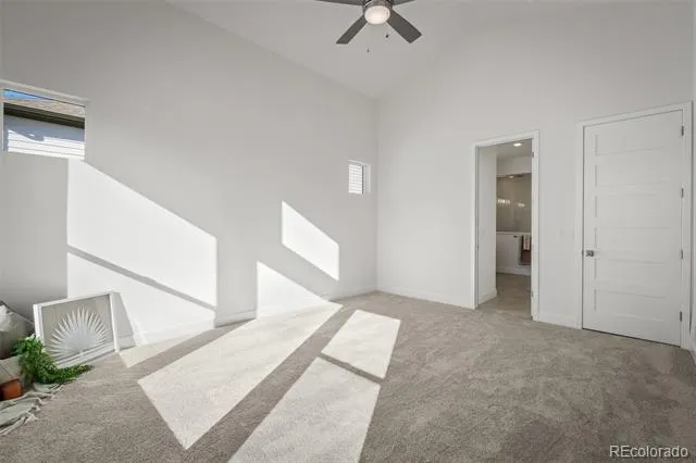 17234 Alsike Clover Court Monument, CO 80132