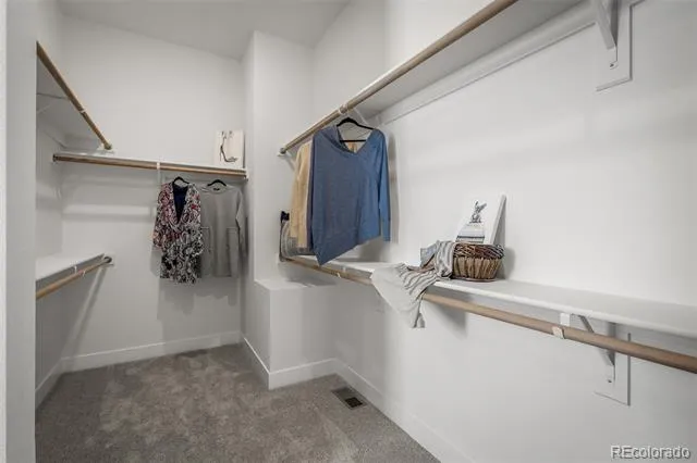 17234 Alsike Clover Court Monument, CO 80132