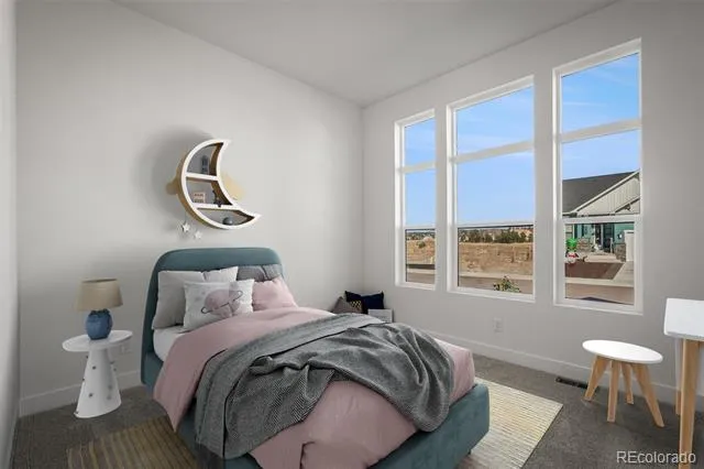 17234 Alsike Clover Court Monument, CO 80132