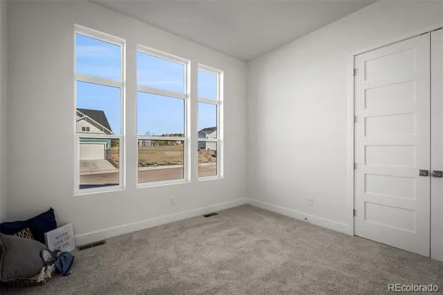 17234 Alsike Clover Court Monument, CO 80132